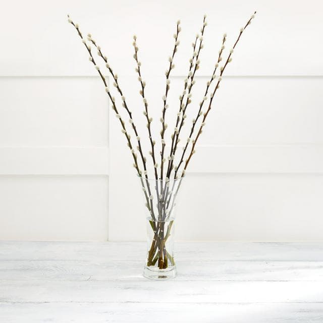 Pussy Willow Flowers - gallery image 1