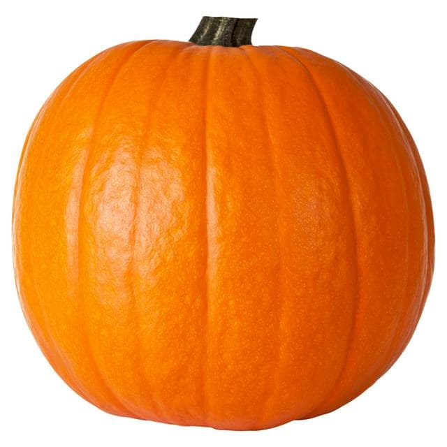 Sainsbury's Carving Pumpkin - gallery image 1