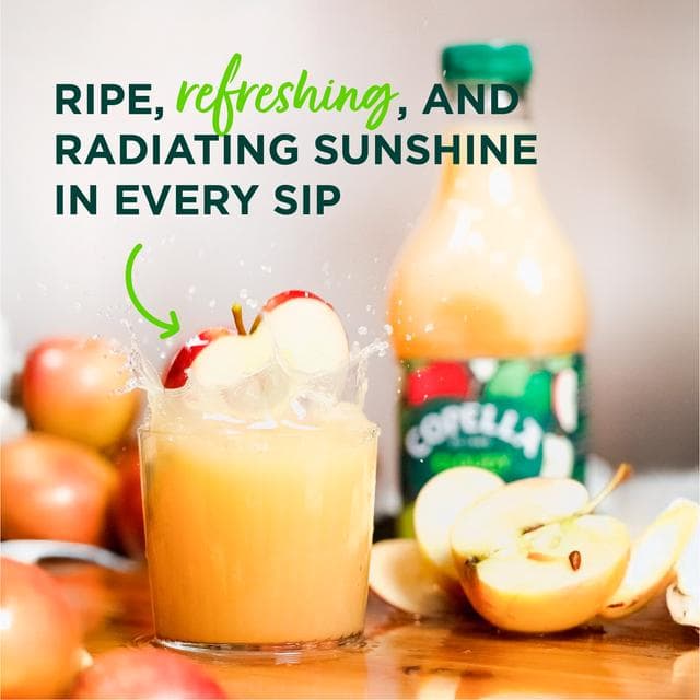 Copella Cloudy Apple Fruit Juice 300ml - gallery image 3