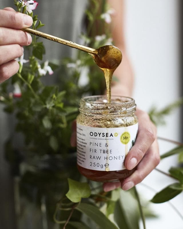 Odysea Greek Pine & Fir Tree Raw Honey 250g - gallery image 2