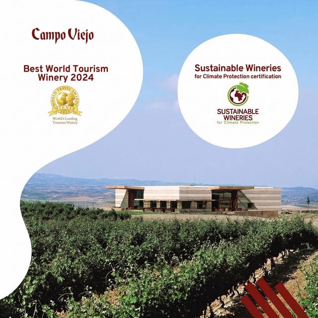 Campo Viejo Rioja Blanco White Wine 75cl - gallery image 5