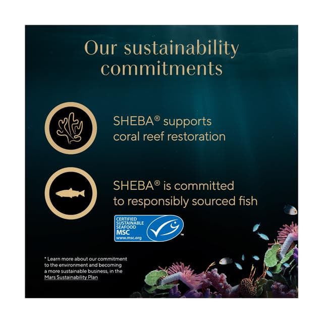 Sheba Classics Soup with Tuna Fillets Adult Wet Cat Food Pouches 4 x 40g - gallery image 5
