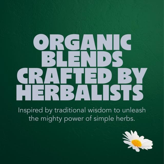 Pukka Organic Herbal Tea Collection Five Different Flavours Home Compostable Herbal Tea Bags x20 - gallery image 5