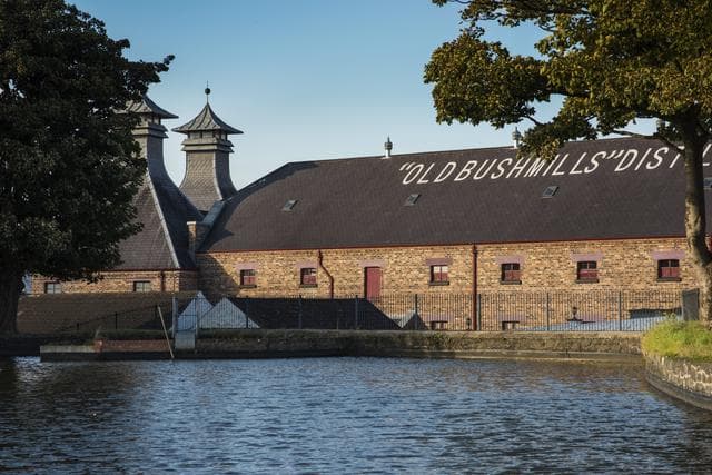 Bushmills Original Irish Whiskey 70cl - gallery image 4