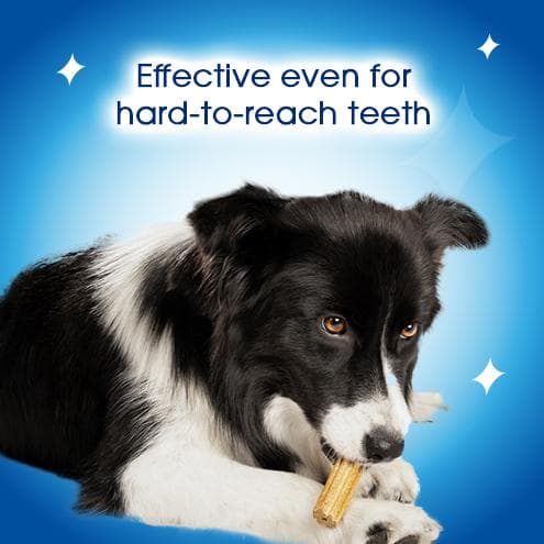 Dentalife Small Dental Chicken Dog Chews Sticks x7 - gallery image 6