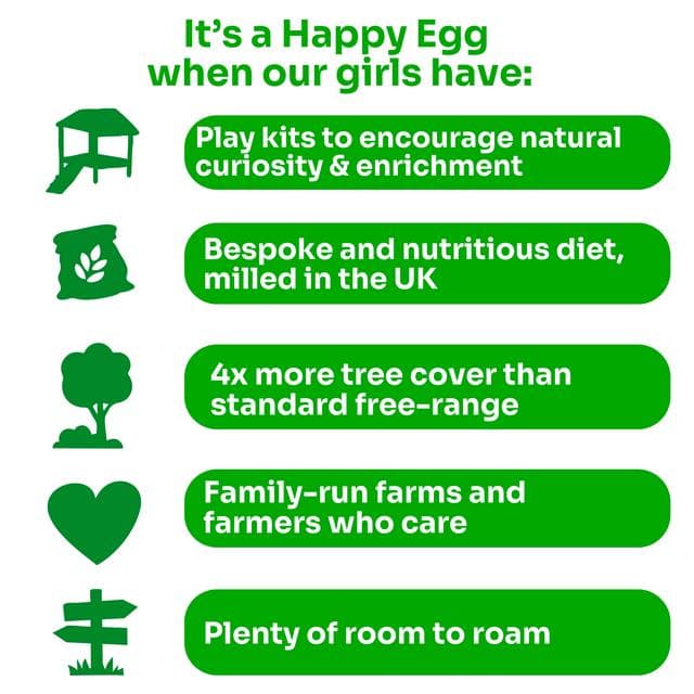 The Happy Egg Co. Free Range Mixed Sizes x10 497g - gallery image 3