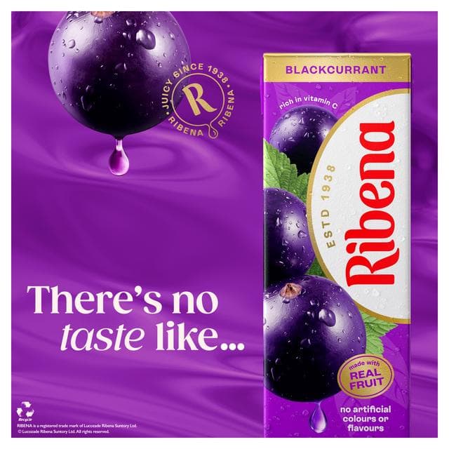 Ribena Blackcurrant Juice Drink Cartons 6x250ml - gallery image 4