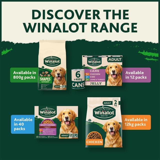 Winalot Meaty Chunks Mixed in Gravy Wet Dog Food 40x100g - gallery image 5