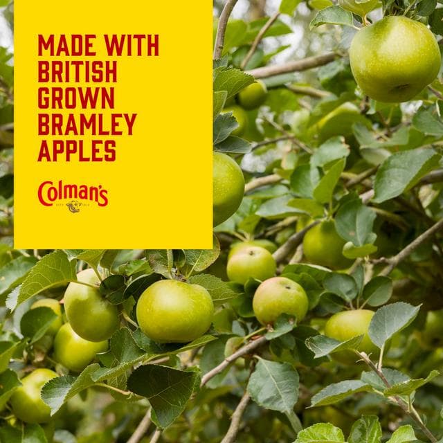 Colman's Bramley Apple Sauce 155g - gallery image 5