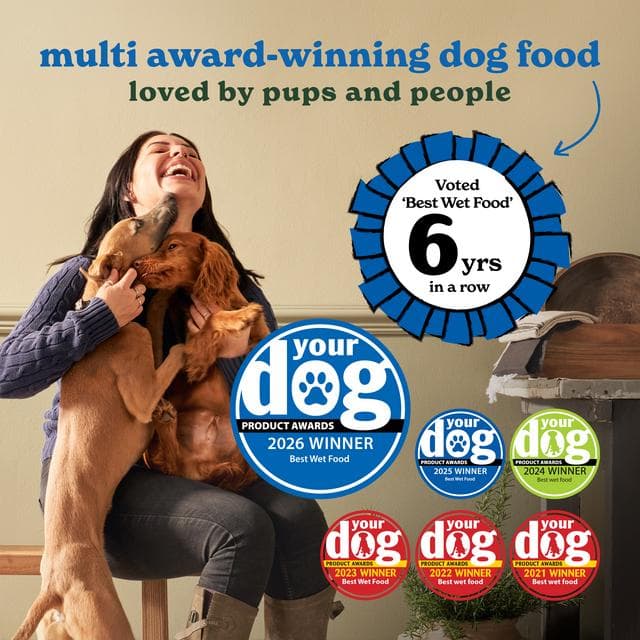 Forthglade Adult Dog Food 1 Year+ Turkey with Sweet Potato & Vegetables Complete Meal 395g - gallery image 3