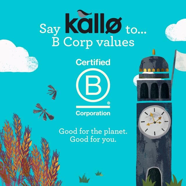 Kallo Protein Packed Lentil Cakes 100g - gallery image 6