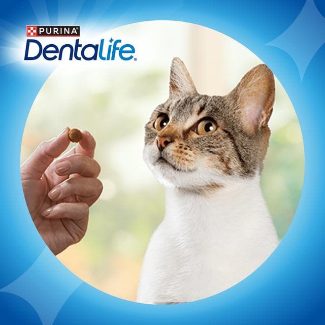 Dentalife Dental Chicken Cat Treats 40g - gallery image 6