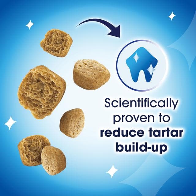 Dentalife Dental Salmon Cat Treats 40g - gallery image 3