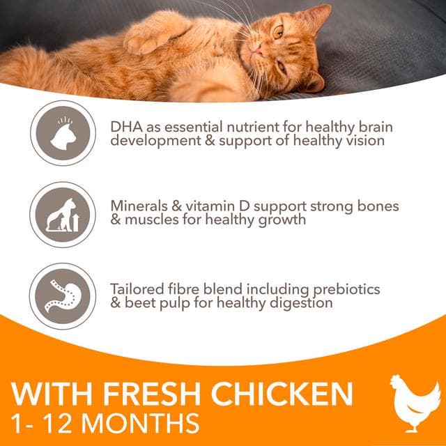 IAMS for Vitality Kitten Food with Fresh Chicken 800g - gallery image 3