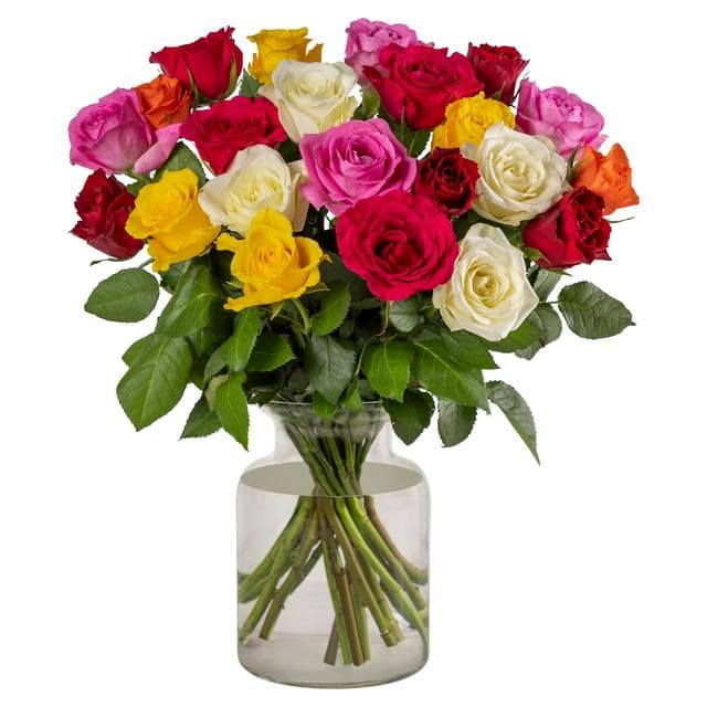 Rainbow Roses - gallery image 1