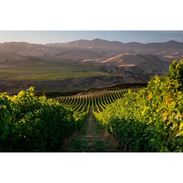 Villa Maria Cellar Selection Sauvignon Blanc White Wine 75cl - gallery image 2