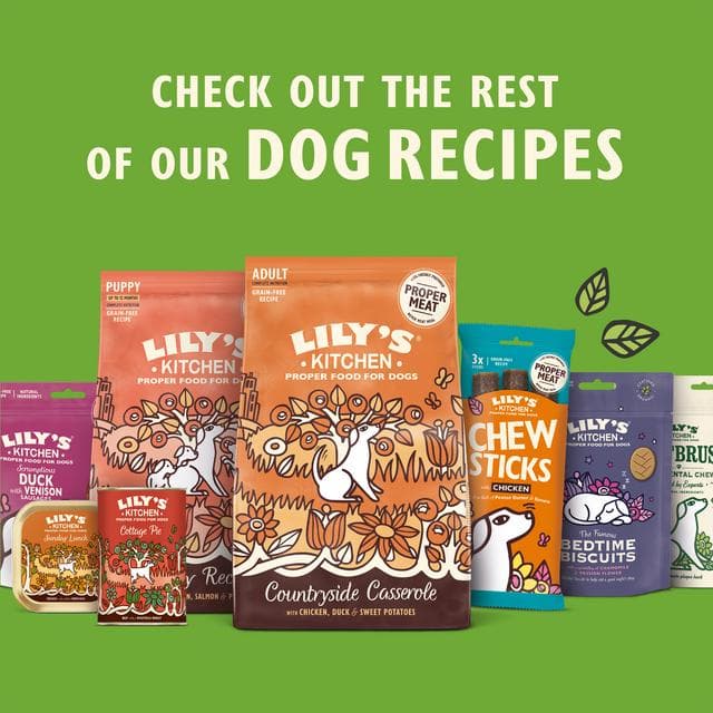 Lily's Kitchen Chomp-Away Chicken Bites Dog Treats 70g - gallery image 5