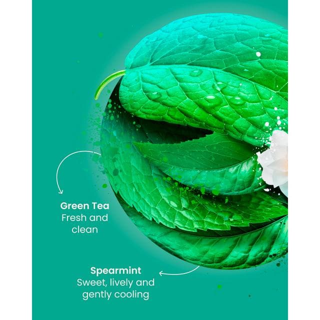 Good Earth Moroccan Mint Tea Bags x15 - gallery image 5