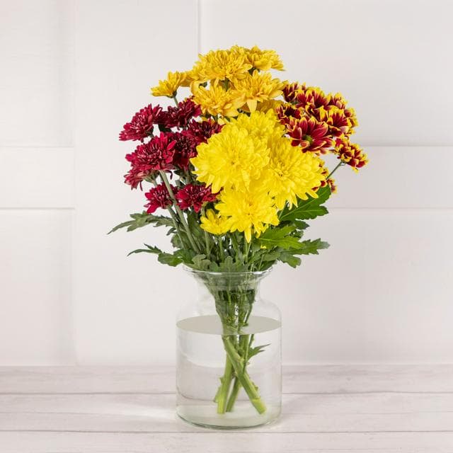 Sainsbury's Yellow Chrysanthemums - gallery image 1