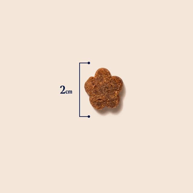 Pooch & Mutt Turkey & Hemp Probiotic Meaty Treats for Calming 120g - gallery image 4
