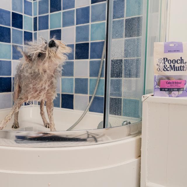 Pooch & Mutt Turkey & Hemp Probiotic Meaty Treats for Calming 120g - gallery image 6