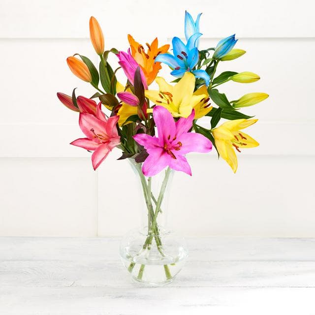 Fun Flowers Dyed Lilies - gallery image 1
