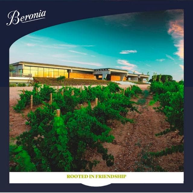 Beronia Rueda Verdejo White Wine 75cl - gallery image 4