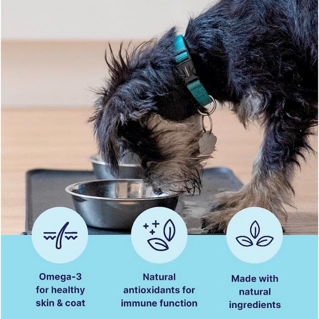 Tails.com Inner Vitality Advanced Nutrition Wet Dog Food 1-7 Years 400g - gallery image 2
