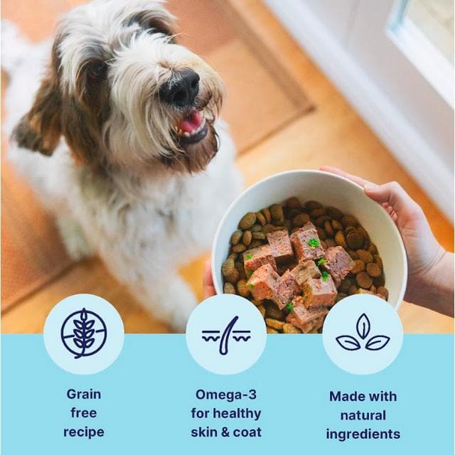 Tails.com Inner Vitality Advanced Nutrition Chicken with Cod Wet Dog Food 150g - gallery image 2