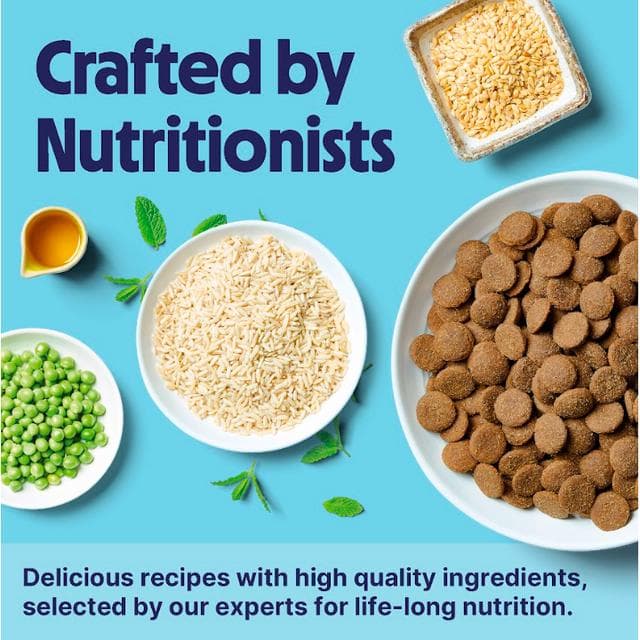 Tails.com Inner Vitality with Freshly Prepared Chicken Toy & Small Adult Dry Dog Food 8 Months - 8 Years 2kg - gallery image 3