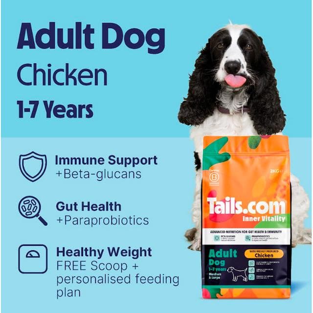Tails.com Inner Vitality Advanced Nutrition Dry Dog Food Medium & Large Chicken 2kg - gallery image 5