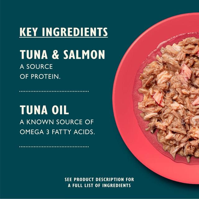 Lily's Kitchen Tuna & Salmon Shredded Fillets Wet Cat Food 70g - gallery image 3