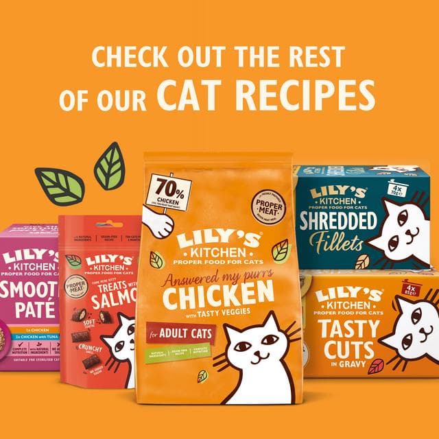 Lily's Kitchen Tuna & Salmon Shredded Fillets Wet Cat Food 70g - gallery image 6