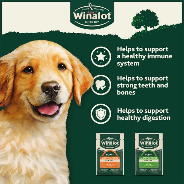 Winalot Meaty Chunks Puppy Mixed in Gravy Wet Dog Food 12x100g - gallery image 3