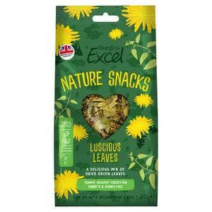 Burgess Excel 60g Luscious Leaves Small Animal Treats