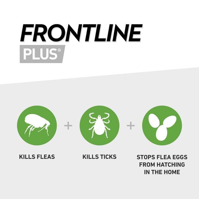 Frontline Plus Spot On Dog M 10 up to 20kg - gallery image 2