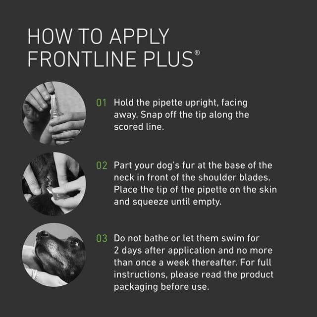 Frontline Plus Spot On Dog L 20 up to 40kg - gallery image 3