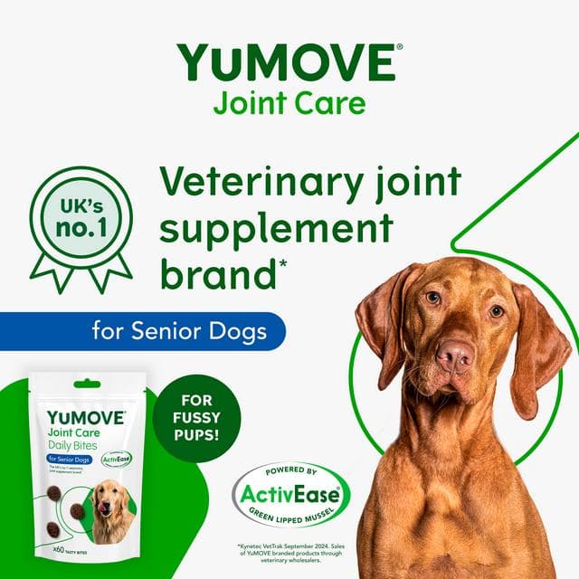 Yumove Joint Care Daily Bites for Senior Dogs Tasty Bites x60 150g - gallery image 4