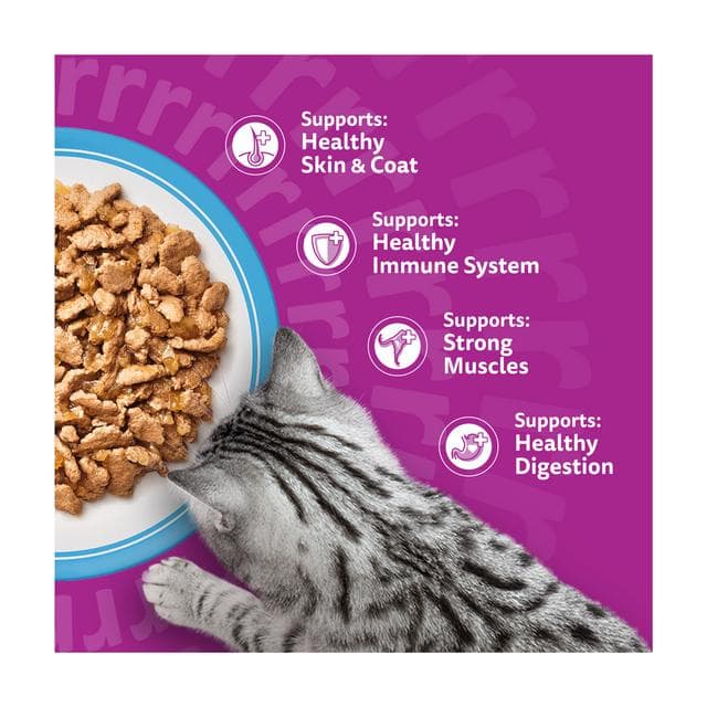 Whiskas 1+ Fish Favourites in Jelly Adult Wet Cat Food Pouches 12 x 85g - gallery image 3