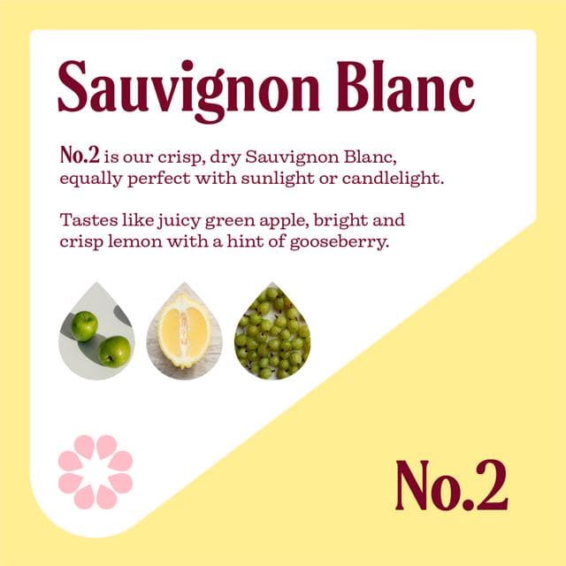 Nice Sauvignon Blanc White Wine 18.7cl - gallery image 2