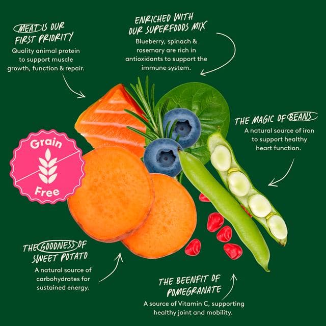 Harringtons Superfoods Adult Salmon with Vegetables 1.7kg - gallery image 3