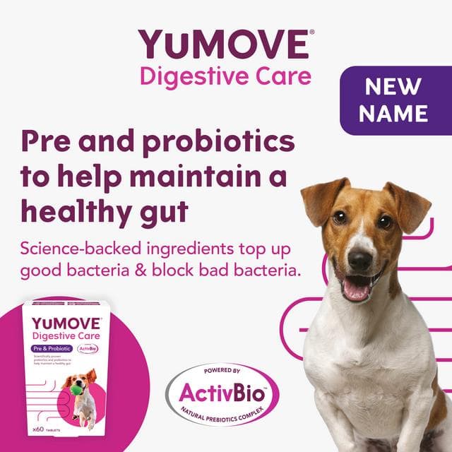 Yumove Digestive Care For All Dogs Tablets x60 49g - gallery image 5