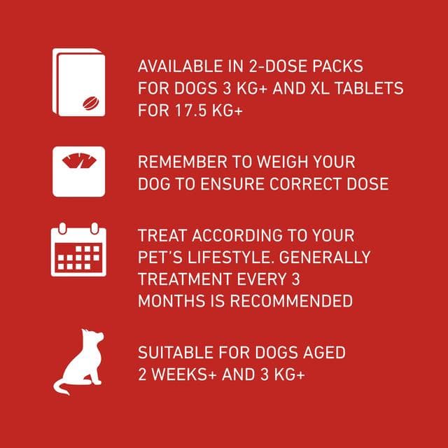 Frontline Wormer XL Flavoured Tablets For Dogs x2 - gallery image 5
