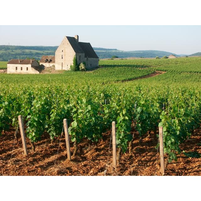 Louis Jadot Bourgogne Pinot Noir Red Wine 75cl - gallery image 2