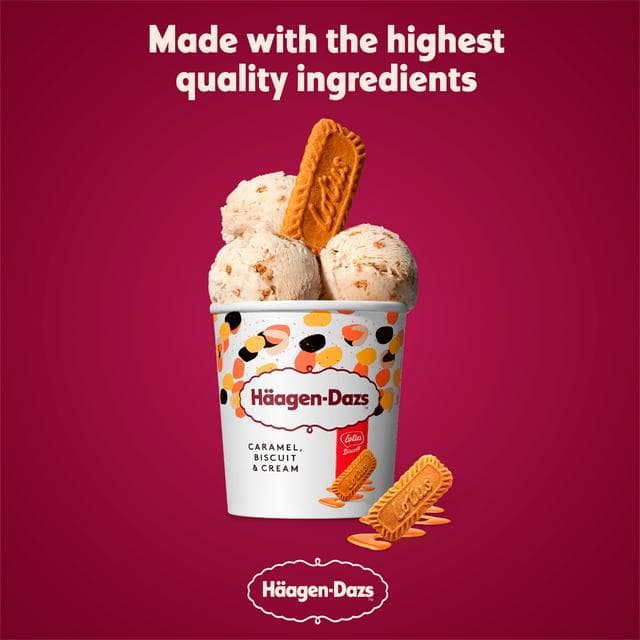 Haagen-Dazs Caramel Biscuit & Cream Frozen Dessert Tub 400g - gallery image 2