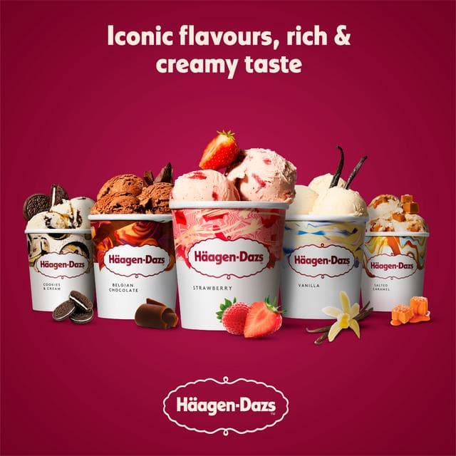 Haagen-Dazs Caramel Biscuit & Cream Frozen Dessert Tub 400g - gallery image 3