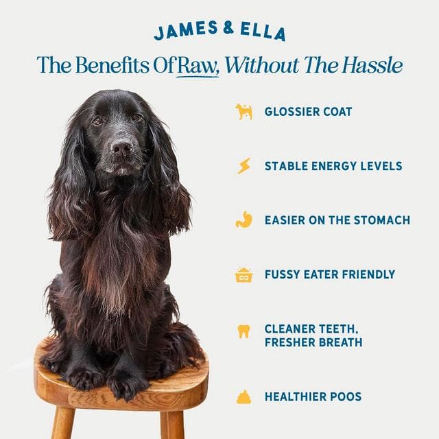 James & Ella Kibble + Raw Free Run Chicken Dog Food 1.5kg - gallery image 2