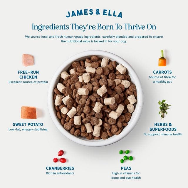 James & Ella Kibble + Raw Free Run Chicken Dog Food 1.5kg - gallery image 3