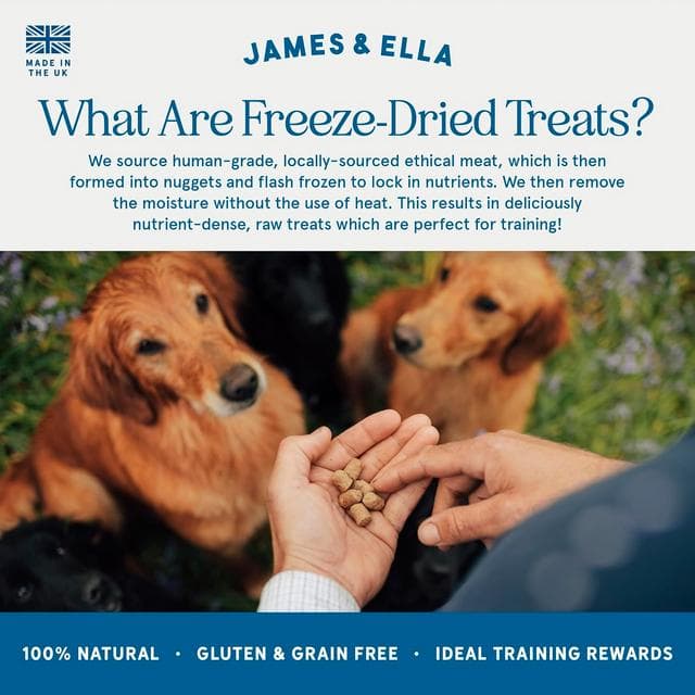 James & Ella Freeze Dried Free Run Chicken Dog Treats 40g - gallery image 4
