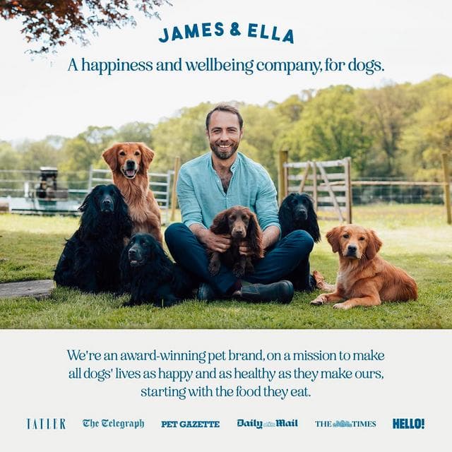 James & Ella Freeze Dried Free Run Chicken Dog Treats 40g - gallery image 6